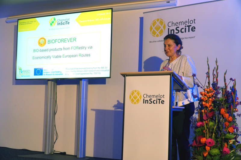 Theodora Retsina, API Europe CEO held a keynote lecture at 4th Chemelot InSciTe Annual Meeting